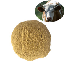 Corn Gluten Meal 60%/70% Feed Grade Feed Additives Veterinary Chemicals